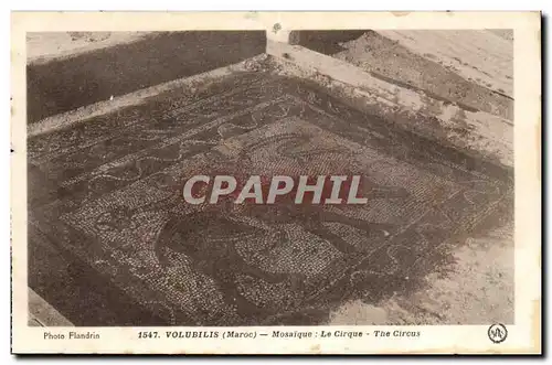 Maroc Volubilis Ansichtskarte AK Mosaiques Le cirque (circus)