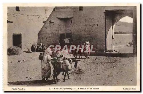 Maroc ERfoud Cartes postales Le retour de lsa source (ane donkey)