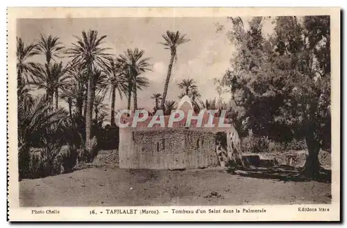 Maroc Tafilalet Ansichtskarte AK Tombeau d&#39un saint dans la palmeraie