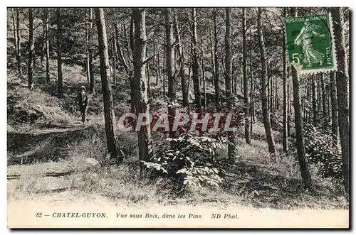 Chatelguyon Cartes postales Vue sous bois dans les pins