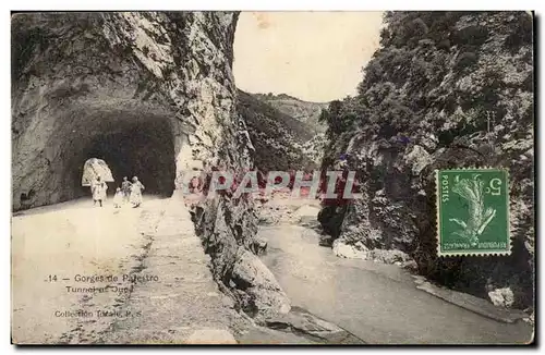 Gorges de Palestro Ansichtskarte AK Tunnel et oued