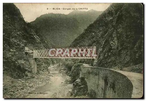 Algerie Blida Cartes postales Gorges de la Chiffa