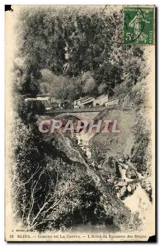 Algerie Blida Cartes postales Gorges de la Chiffa L'hotel du ruisseau des singes
