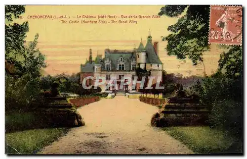 Chenonceau Cartes postales Le chateau Vue de la grande allee