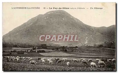 Auvergne Ansichtskarte AK Puy de Dome Un paturage (moutons)