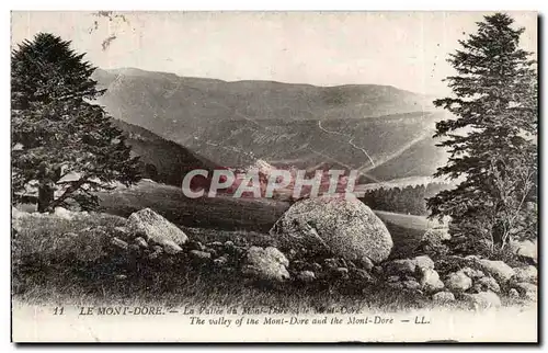 Le Mont Dore Ansichtskarte AK La vallee du Mont Dore