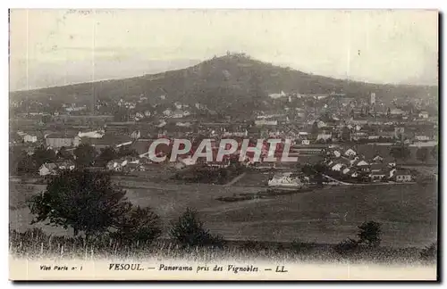 Vesoul Ansichtskarte AK Panorama pris des Vignobles