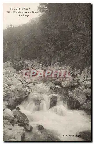 Environs de Nice Cartes postales Le loup (wolf)