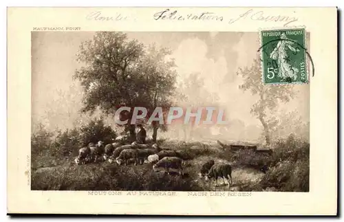 Animaux- Moutons au Paturage - Nach dem Regen - Sheep - Scharf - Cartes postales