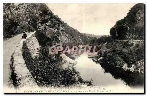 Environs de Cambo les Bains Ansichtskarte AK La route du pas de Roland