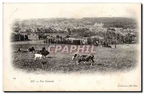 Eu Ansichtskarte AK Vue generale (vaches)