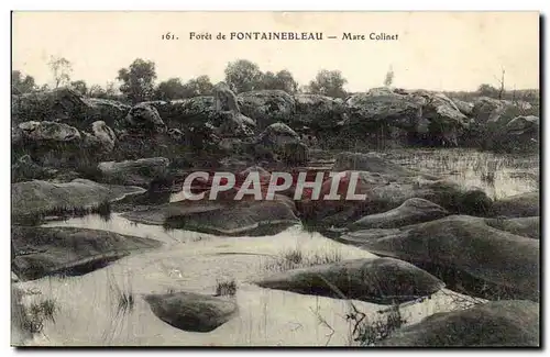 Ansichtskarte AK Foret de Fontainebleau Mare Colinet