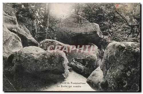 Foret de Fontainebleau Ansichtskarte AK La roche qui tremble