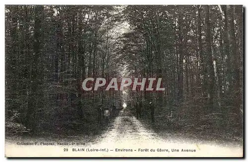 Blain Cartes postales Environs Foret du Gavre Une avenue