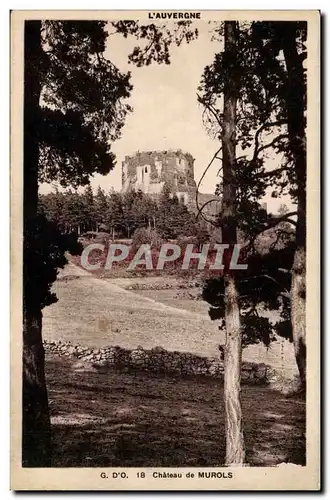 Cartes postales Chateau de Murols