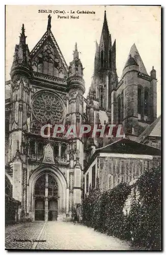 Senlis Cartes postales La cathedrale Portail nord