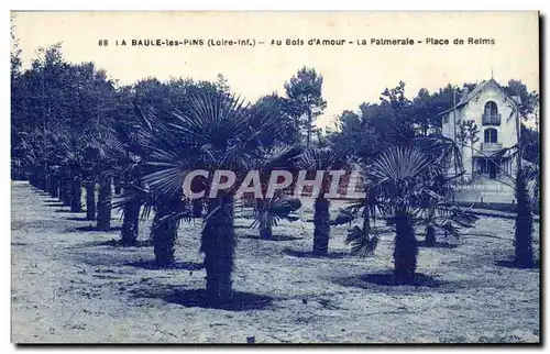 La Baule sur Mer Cartes postales Au bois d&#39amour La palmeraie Place de Reims