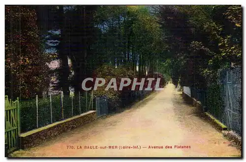 La Baule sur Mer Ansichtskarte AK Avenue des platanes