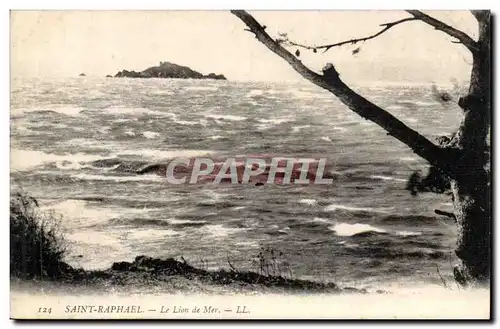 Saint Raphael Cartes postales Le lion de mer