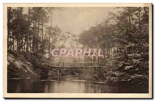 La Lande Pittoresque - L&#39Etang Blanc - Cartes postales