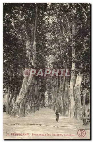 Perpignan - Promenade des Plantanes - Cartes postales