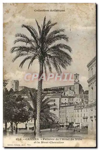 Cannes Cartes postales Palmier de l&#39hotel de ville et le Mont Chevalier