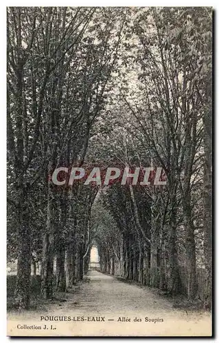 Pougues les Eaux Cartes postales Allee des soupirs