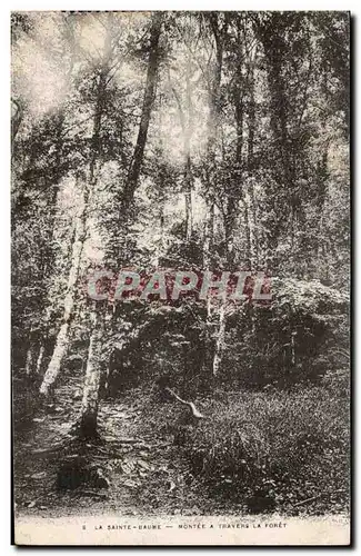 Le Sainte Baume - Mntee a travers la Foret - Cartes postales