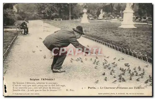 Paris Cartes postales Le charmeur d'oiseaux aux Tuileries TOP