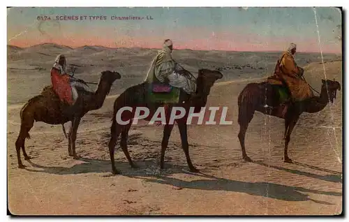 Algerie Ansichtskarte AK Scenes et types Chameliers (camel chameau)