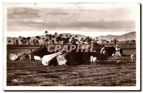 Algerie Ansichtskarte AK Scenes et types CAmpement de nomade