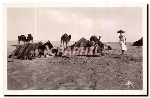 Algerie Ansichtskarte AK Scenes et types CAmpement de nomades