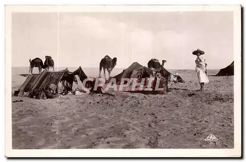 Algerie Cartes postales Scenes et types CAmpement de nomades