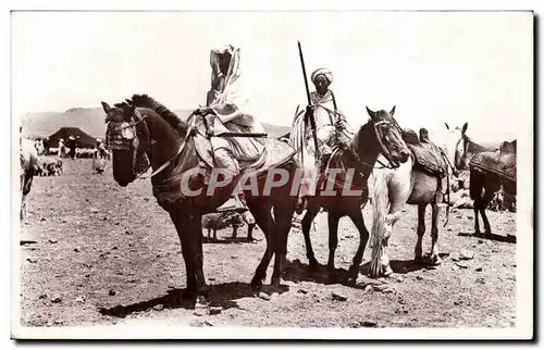 Algerie Ansichtskarte AK Scenes et types CAvaliers du sud