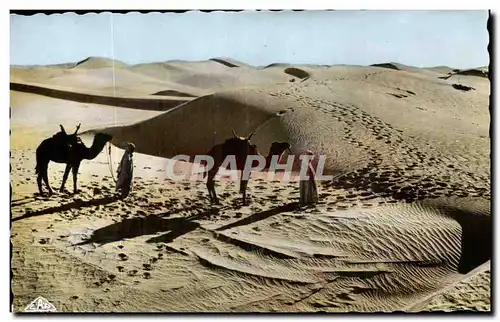 Algerie Ansichtskarte AK Scenes et types Passage des dunes de sable au soleil