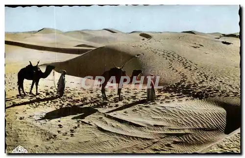 Algerie Cartes postales Scenes et types Passage des dunes de sable au soleil