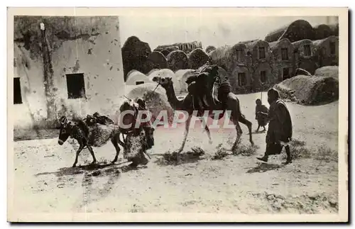 Algerie Ansichtskarte AK Scenes et types Habitations arabes (ane donkey)