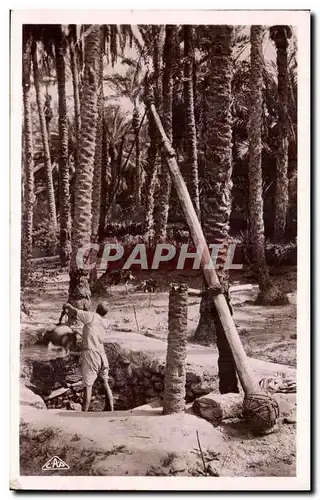 Algerie Ansichtskarte AK Scenes et types Puits dans une palmeraie