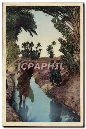 Algerie Cartes postales Scenes et types Les femmes a la Seguia dans une palmeraie