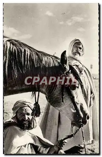 Algerie Cartes postales Scenes et types Type d'arabe