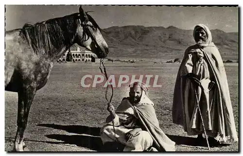 Algerie Ansichtskarte AK Scenes et types Type d&#39arabe