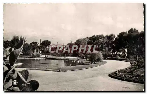 Algerie Oran Cartes postales un coin du parc municipal