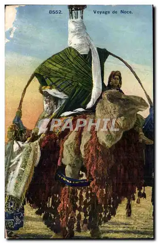 Algerie Cartes postales Scenes et types Voyage de noce (chameau camel)