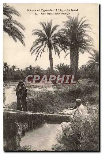 Algerie Ansichtskarte AK Scenes et types Une Saguia pour arrosage