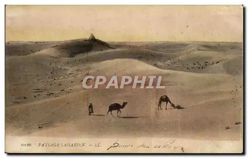 Algerie Ansichtskarte AK Scenes et types Paysage saharien