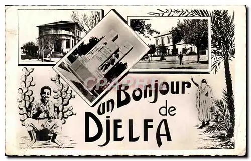 Algerie Cartes postales Un bonjour de Djelfa