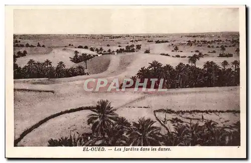 Algerie Ansichtskarte AK El oued Les jardins dans les dunes