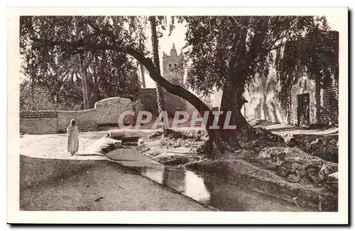 Algerie Cartes postales Biskra La mosquee de Sidi Maleck a travers les arbres