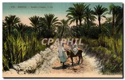 Constantine - Algerie - Algeria - Afrique - Africa - Biskra - dans L&#39Oasis - ane - donkey - Cartes postales