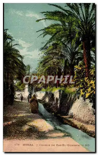 Constantine - Algerie - Algeria - Afrique - Africa - Biskra - Chemin de bas el Gueria - Cartes postales